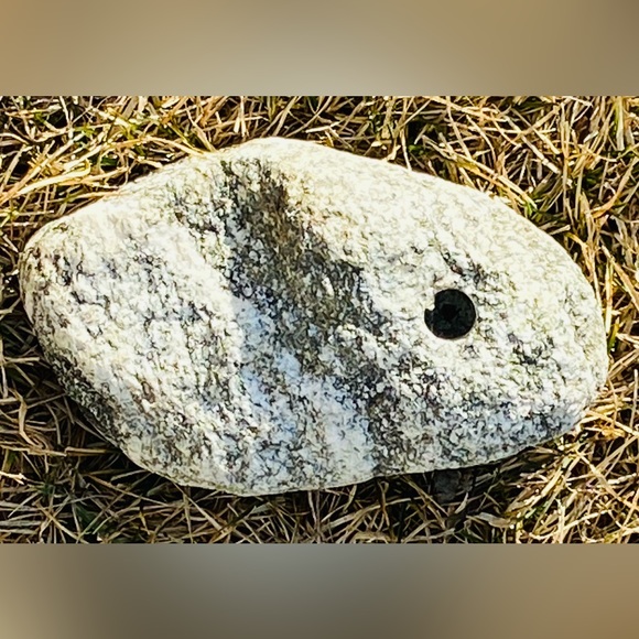 Granet Aquarium/Terrarium Rock w/Hole Drilled 4 Inserting Live/Artaficial Plants - Picture 3 of 16